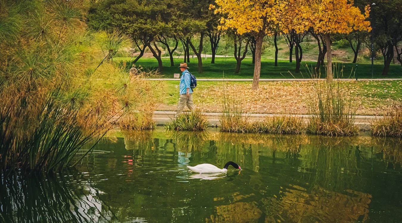 Expert-guided private walking tour in Santiago through historic streets, cultural landmarks and hidden local corners in Chile