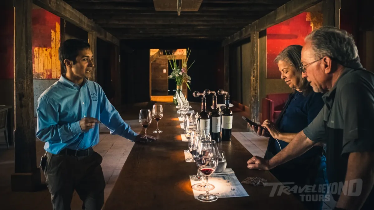 Colchagua Valley Wine & Horseback Experience
