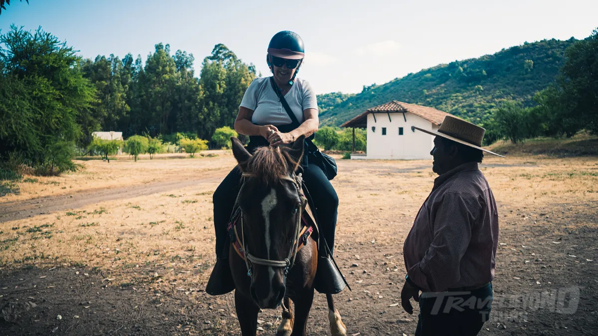 Colchagua Valley Horseback & Wine Tour
