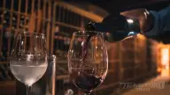 Chilean Wine Country Day Tour