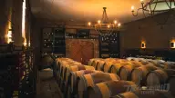 Colchagua Valley Wine & Horseback Experience