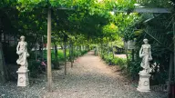 Colchagua Valley Wine & Horseback Experience