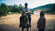 Colchagua Valley Horseback & Wine Tour