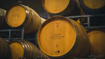Chile’s Wine Day Tour from the Port