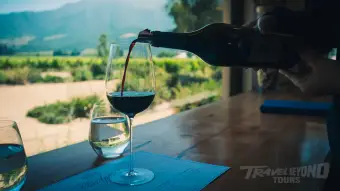 Colchagua Valley Wine & Horseback Experience