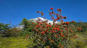 Base Torres Trek - Private Full-Day Hike