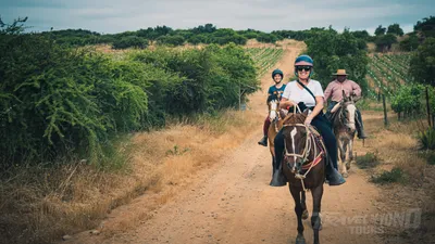 Colchagua Day Escape from Santiago - Private Tour  image 3