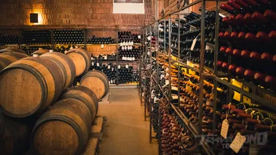 Colchagua Day Escape from Santiago - Private Tour  image 5