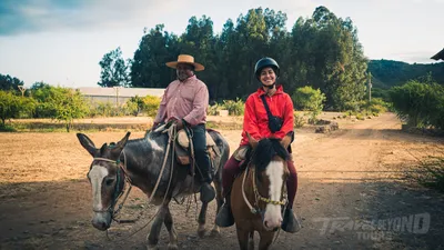 Colchagua Day Escape from Santiago - Private Tour  image 9