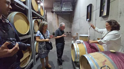 Chilean Wine Country Day Tour image 8