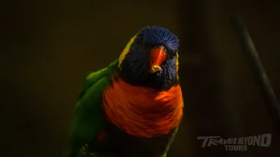 Tricao Park Day Tour image 6