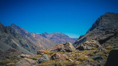 Cajón del Maipo & Andes Mountain  image 7