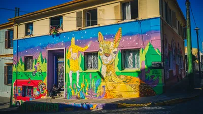 Santiago & Valparaiso. Best of Chile - Personalized Service image 7