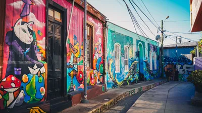 Santiago & Valparaiso. Best of Chile - Personalized Service image 8
