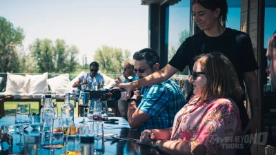 Chilean Wine Country Day Tour