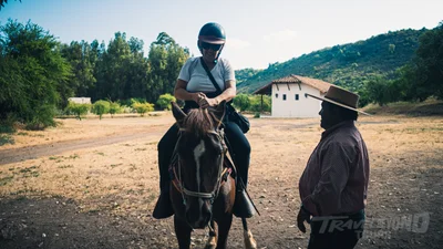 Colchagua Valley Horseback & Wine Tour
