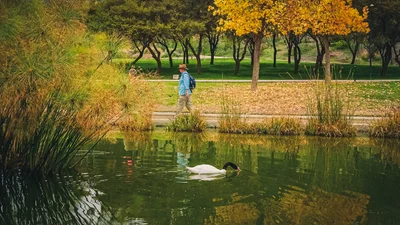 Santiago Walking Tour - Personalized Service