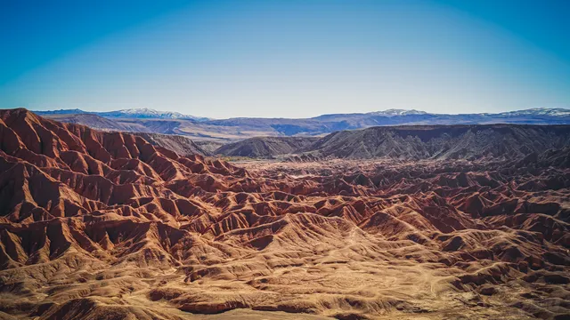 ATACAMA  image 3