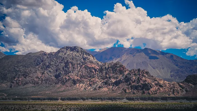 MENDOZA image 2