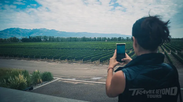 MENDOZA image 4