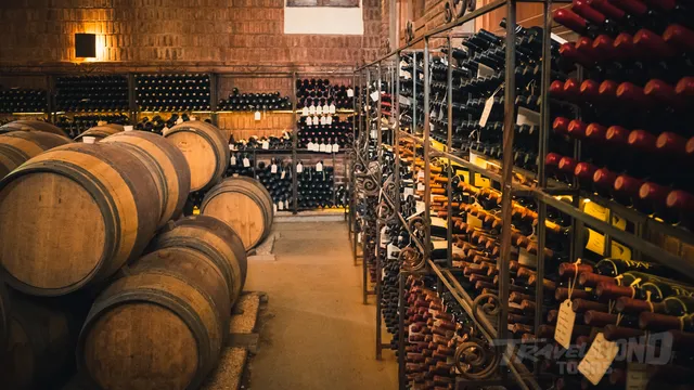 Colchagua Day Escape from Santiago - Private Tour  image 5