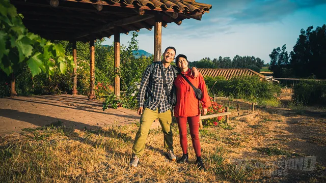 Colchagua Day Escape from Santiago - Private Tour  image 8