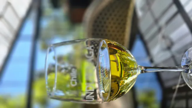 Chilean Wine Country Day Tour image 9