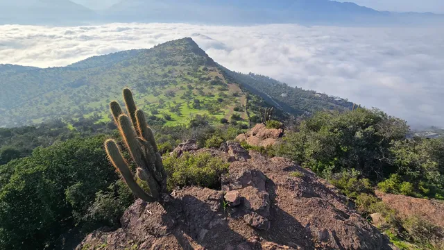  Discover Santiago from the hills with  Private Guide image 2